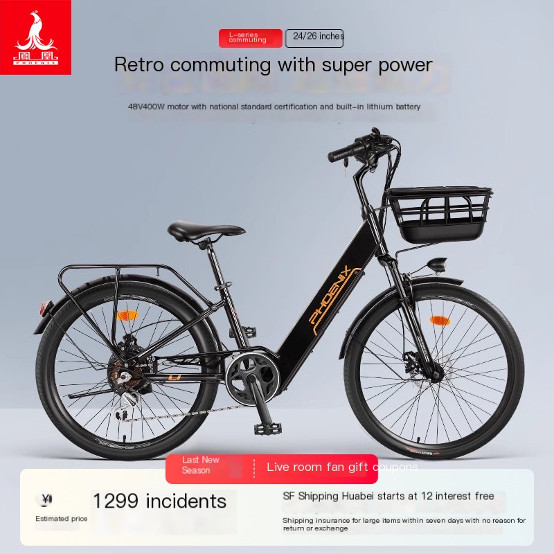 Phoenix 24/26 inch L8 electric bicycle