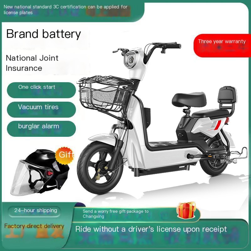 2024 New National Standard Electric Vehicle Adult Edition