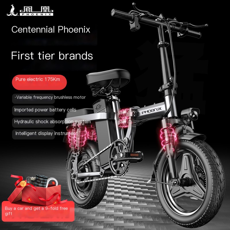 Phoenix Folding Electric Bicycle National Joint Guarantee