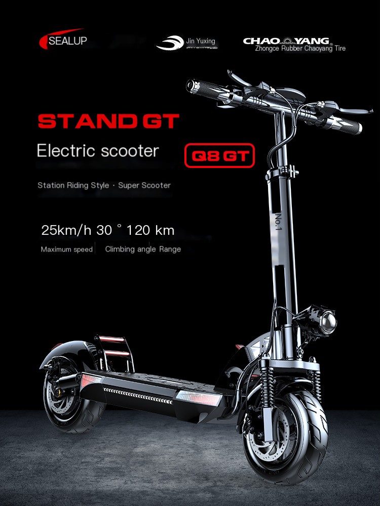 Hilop Q8-5 Station Foldable Adult Bicycle