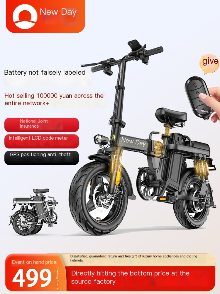 Source Factory Strikes for Bottom Price New Day Folding Electric Vehicles