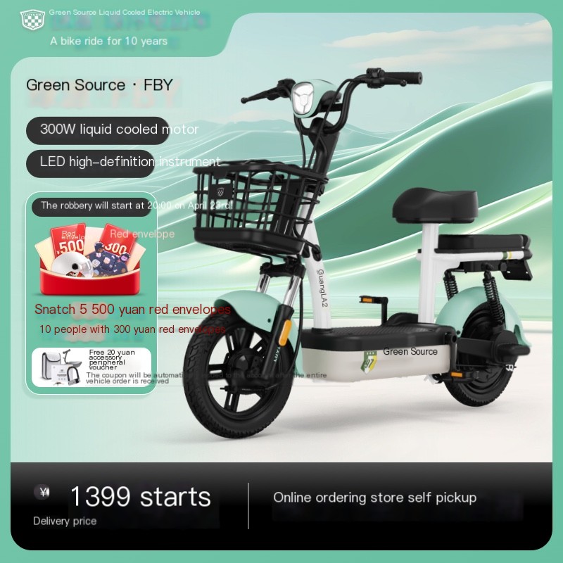 Green Source New National Standard Electric Bicycle FBY