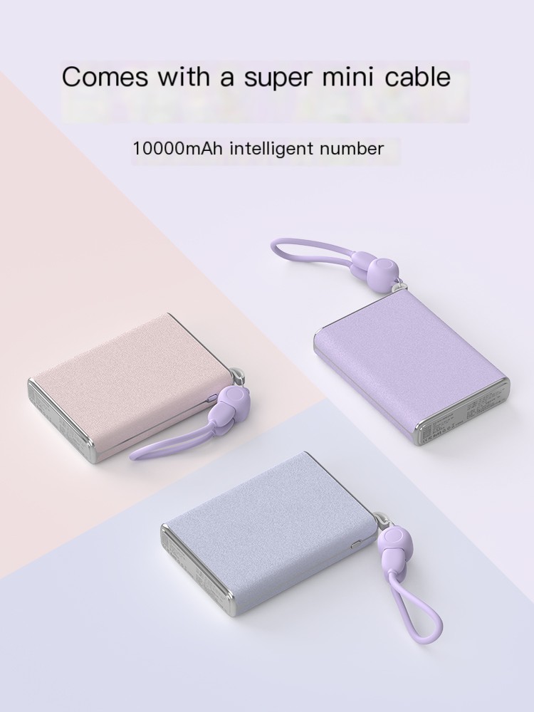 PURIDEA comes with a bidirectional fast charging power bank