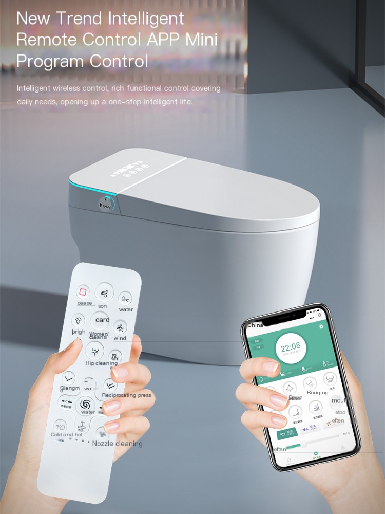 Hegii/Hengjie built-in water tank intelligent toilet
