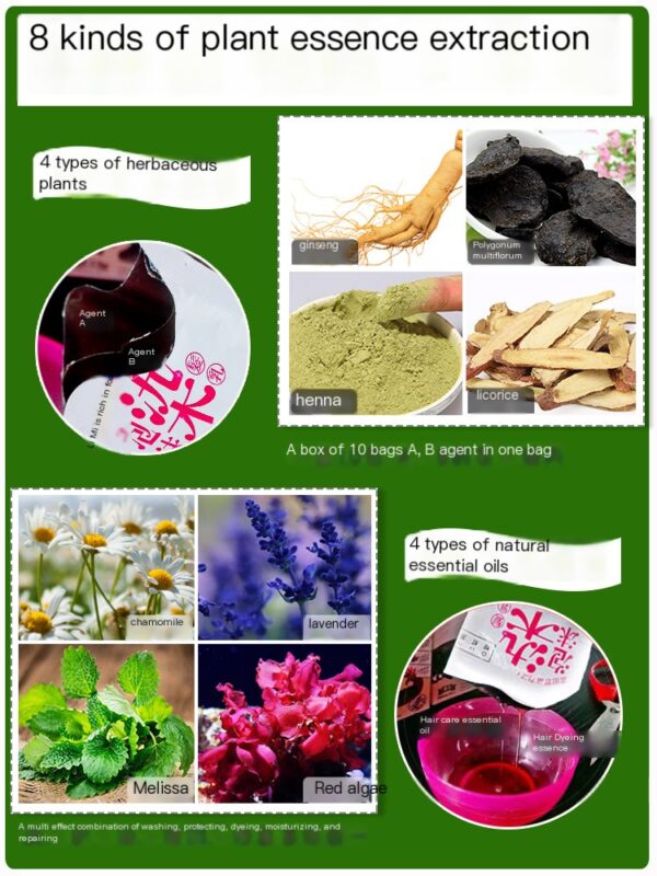 Taiwan Plant Bubble Hair Dye Whitening and Sending Tool - Image 4