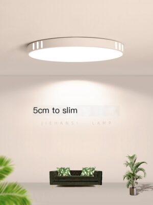 LED minimalist modern master bedroom light ultra-thin fixtures