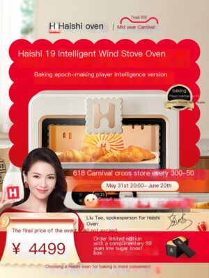 Haishi Electric Oven, Wind Oven, Oven, Foshan